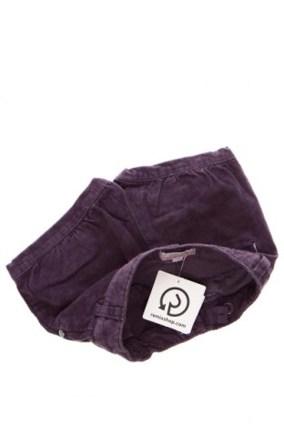 Pantaloni scurți pentru copii Lisa Rose, Mărime 2-3y/ 98-104 cm, Culoare Mov, Preț 15,00 Lei