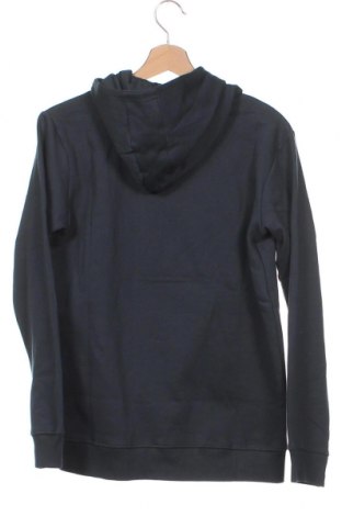 Kinder Sweatshirts Staccato, Größe 15-18y/ 170-176 cm, Farbe Grün, Preis € 13,53