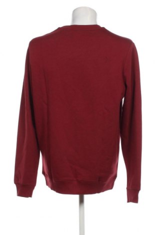 Ανδρική μπλούζα Reebok, Μέγεθος L, Χρώμα Κόκκινο, Τιμή 21,15 €