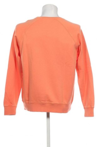Ανδρική μπλούζα SUN68, Μέγεθος XL, Χρώμα Πορτοκαλί, Τιμή 21,03 €