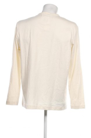 Ανδρική μπλούζα Tom Tailor, Μέγεθος XL, Χρώμα  Μπέζ, Τιμή 17,04 €