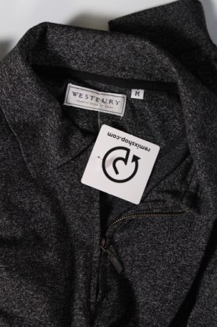 Herren Shirt Westbury, Größe M, Farbe Grau, Preis 4,73 €