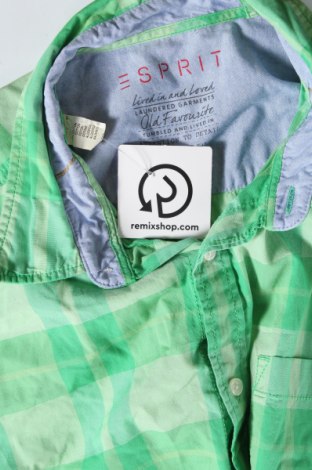 Ανδρικό πουκάμισο Esprit, Μέγεθος XL, Χρώμα Πράσινο, Τιμή 14,85 €