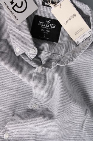 Herrenhemd Hollister, Größe L, Farbe Mehrfarbig, Preis 37,11 €
