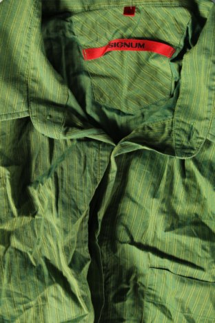 Мъжка риза Signum, Размер L, Цвят Зелен, Цена 13,34 лв.