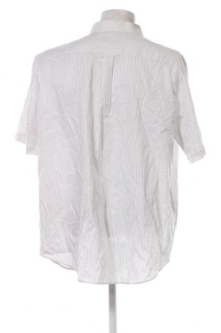 Ανδρικό πουκάμισο Westbury, Μέγεθος XXL, Χρώμα Πολύχρωμο, Τιμή 6,83 €