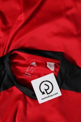 Herren T-Shirt Adidas, Größe S, Farbe Rot, Preis 13,92 €