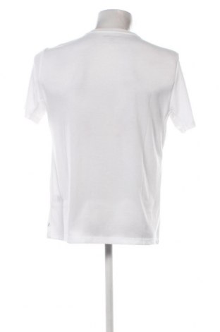 Herren T-Shirt Calvin Klein, Größe L, Farbe Weiß, Preis 32,47 €