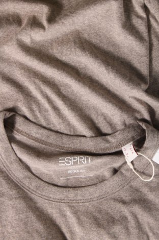 Ανδρικό t-shirt Esprit, Μέγεθος L, Χρώμα  Μπέζ, Τιμή 14,95 €