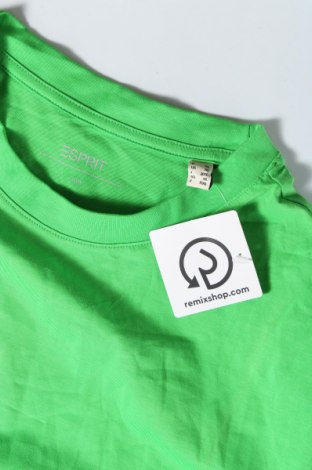 Herren T-Shirt Esprit, Größe XL, Farbe Grün, Preis 6,96 €
