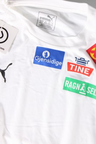 Ανδρικό t-shirt PUMA, Μέγεθος XL, Χρώμα Λευκό, Τιμή 12,37 €