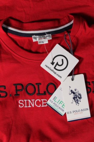 Ανδρικό t-shirt U.S. Polo Assn., Μέγεθος S, Χρώμα Κόκκινο, Τιμή 26,80 €