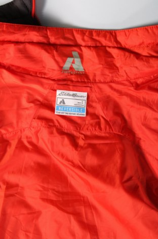 Ανδρικό γιλέκο First Ascent, Μέγεθος L, Χρώμα Κόκκινο, Τιμή 22,61 €
