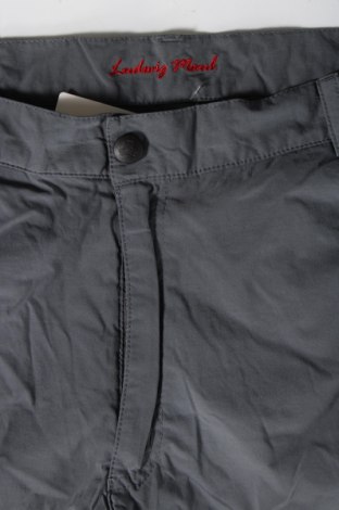 Мъжки къс панталон, Размер M, Цвят Сив, Цена 19,75 лв.