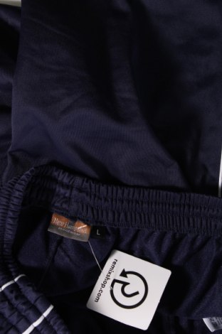 Ανδρικό κοντό παντελόνι, Μέγεθος L, Χρώμα Μπλέ, Τιμή 9,12 €