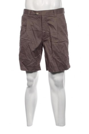 Ανδρικό κοντό παντελόνι, Μέγεθος L, Χρώμα Γκρί, Τιμή 4,17 €