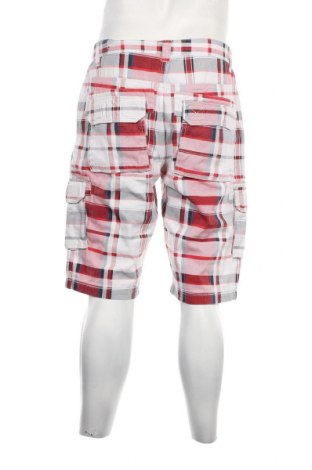 Ανδρικό κοντό παντελόνι, Μέγεθος L, Χρώμα Πολύχρωμο, Τιμή 11,90 €