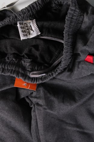 Ανδρικό κοντό παντελόνι, Μέγεθος M, Χρώμα Γκρί, Τιμή 16,33 €