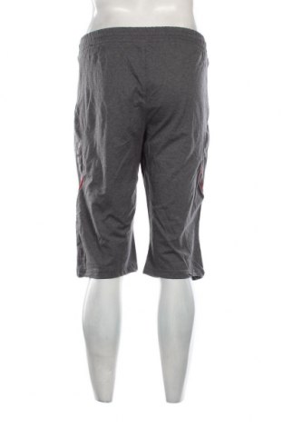Ανδρικό κοντό παντελόνι, Μέγεθος M, Χρώμα Γκρί, Τιμή 16,33 €