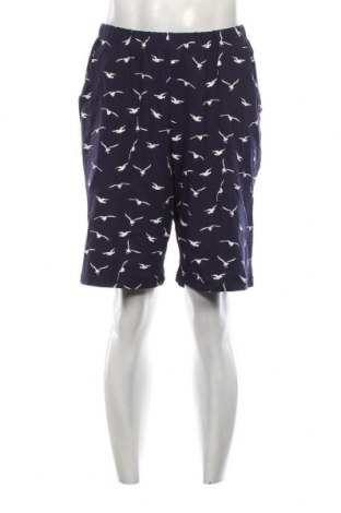 Ανδρικό κοντό παντελόνι, Μέγεθος XL, Χρώμα Πολύχρωμο, Τιμή 14,07 €