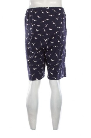 Ανδρικό κοντό παντελόνι, Μέγεθος XL, Χρώμα Πολύχρωμο, Τιμή 15,46 €