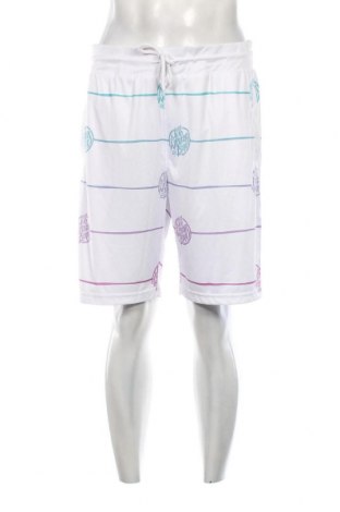 Ανδρικό κοντό παντελόνι, Μέγεθος XL, Χρώμα Πολύχρωμο, Τιμή 9,74 €
