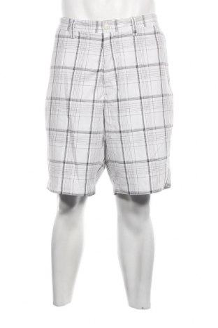 Ανδρικό κοντό παντελόνι, Μέγεθος XL, Χρώμα Πολύχρωμο, Τιμή 12,68 €