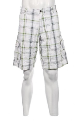 Ανδρικό κοντό παντελόνι, Μέγεθος L, Χρώμα Πολύχρωμο, Τιμή 9,43 €