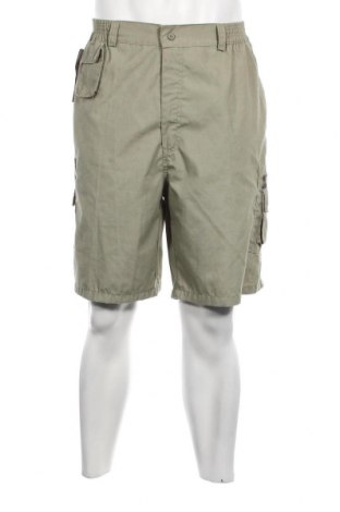 Ανδρικό κοντό παντελόνι, Μέγεθος 3XL, Χρώμα Πράσινο, Τιμή 22,51 €