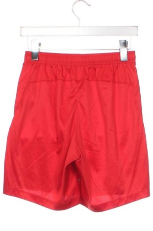 Ανδρικό κοντό παντελόνι Craft, Μέγεθος S, Χρώμα Κόκκινο, Τιμή 8,91 €