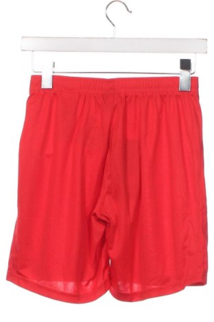 Ανδρικό κοντό παντελόνι Erima, Μέγεθος S, Χρώμα Κόκκινο, Τιμή 9,99 €