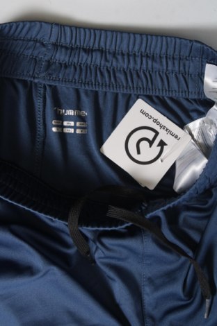 Pantaloni scurți de bărbați Hummel, Mărime S, Culoare Albastru, Preț 59,21 Lei