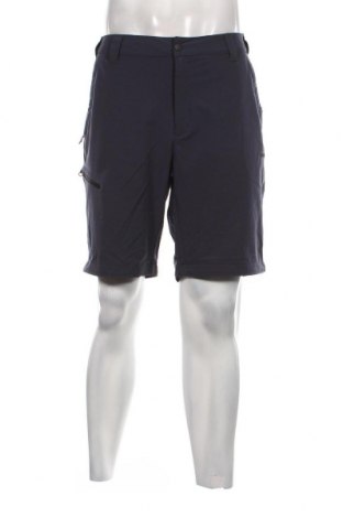 Ανδρικό κοντό παντελόνι Icepeak, Μέγεθος XL, Χρώμα Μπλέ, Τιμή 12,62 €