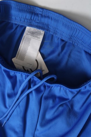 Herren Shorts Nike, Größe S, Farbe Blau, Preis 16,70 €