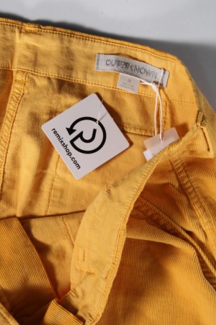 Ανδρικό κοντό παντελόνι Outerknown, Μέγεθος L, Χρώμα Κίτρινο, Τιμή 34,79 €