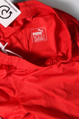 Ανδρικό κοντό παντελόνι PUMA, Μέγεθος M, Χρώμα Κόκκινο, Τιμή 14,85 €