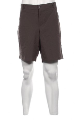 Ανδρικό κοντό παντελόνι Tchibo, Μέγεθος XL, Χρώμα Γκρί, Τιμή 9,78 €