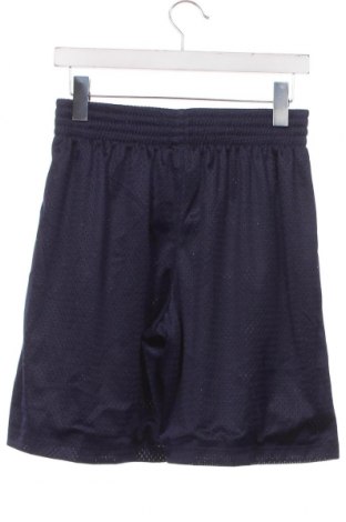Pantaloni scurți de bărbați Under Armour, Mărime S, Culoare Albastru, Preț 78,95 Lei