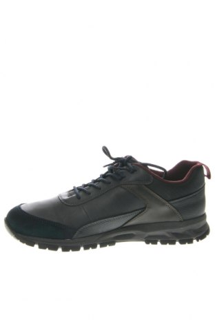 Мъжки обувки Geox, Размер 44, Цвят Син, Цена 173,40 лв.