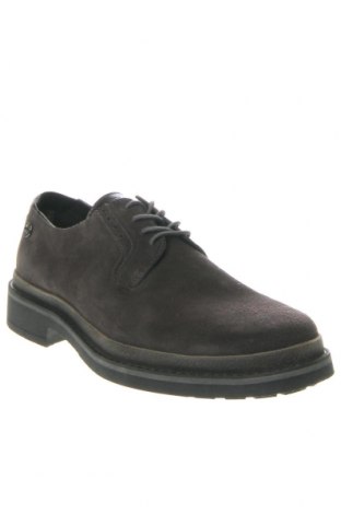 Ανδρικά παπούτσια U.S. Polo Assn., Μέγεθος 42, Χρώμα Γκρί, Τιμή 69,86 €