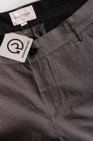 Ανδρικό παντελόνι Bruun & Stengade, Μέγεθος L, Χρώμα Πολύχρωμο, Τιμή 7,35 €