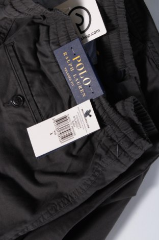 Męskie spodnie Polo By Ralph Lauren, Rozmiar L, Kolor Szary, Cena 451,95 zł