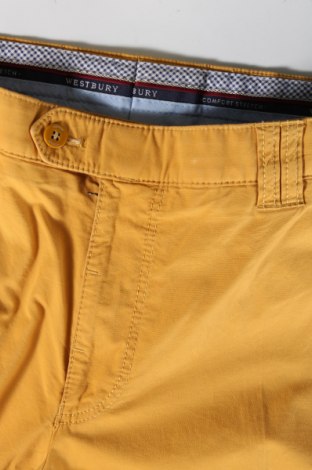 Pantaloni de bărbați Westbury, Mărime L, Culoare Galben, Preț 81,80 Lei