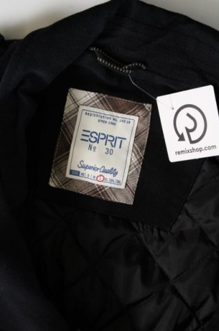 Pánsky kabát  Esprit, Veľkosť L, Farba Modrá, Cena  25,54 €