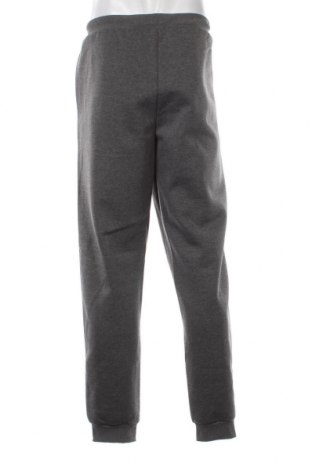 Pantaloni trening de bărbați Crivit, Mărime XL, Culoare Gri, Preț 95,39 Lei