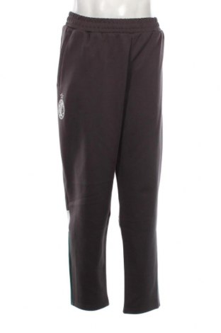 Ανδρικό αθλητικό παντελόνι PUMA, Μέγεθος XXL, Χρώμα Γκρί, Τιμή 42,16 €