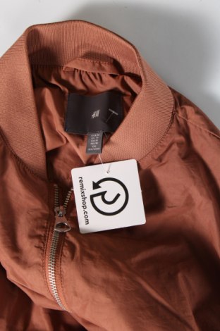 Pánska bunda  H&M, Veľkosť M, Farba Hnedá, Cena  7,89 €
