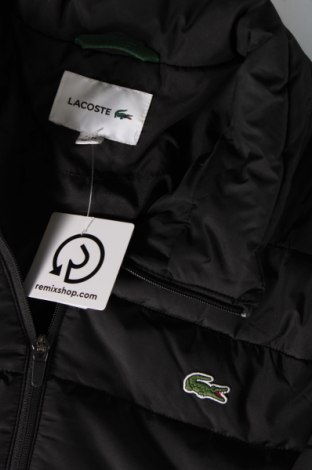 Pánska bunda  Lacoste, Veľkosť XL, Farba Čierna, Cena  182,99 €