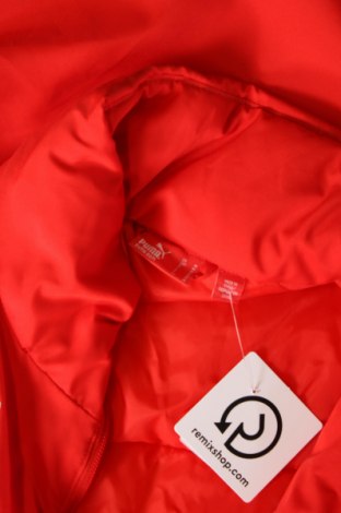Pánská bunda  PUMA, Velikost M, Barva Červená, Cena  1 065,00 Kč