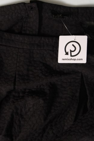 Φούστα H&M, Μέγεθος XL, Χρώμα Μαύρο, Τιμή 13,16 €